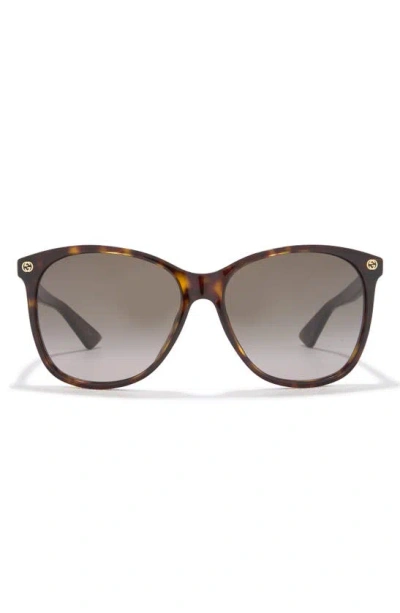 Gucci 58mm Round Sunglasses In Havana Havana Brown