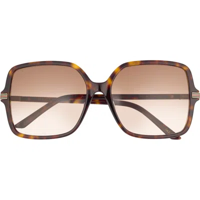 Gucci 59mm Square Sunglasses In Brown