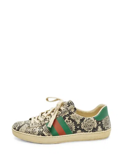Pre-owned Gucci Ace Python-embossed Low-top Sneakers In Neutral