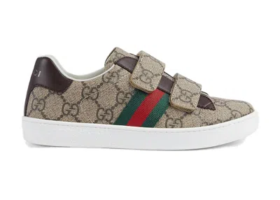 Pre-owned Gucci Ace Strap Sneaker Beige Ebony (kids) Sneakers In 463090 Facyf 9753 In Purple