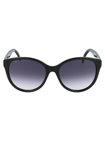 Gucci Acetate Black Sunglasses