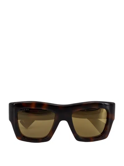 Gucci Acetate Sunglasses In Brown