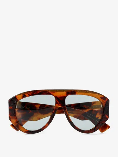 Gucci Acetate Sunglasses In Brown