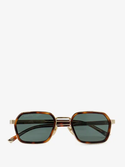 Gucci Acetate Sunglasses In Brown