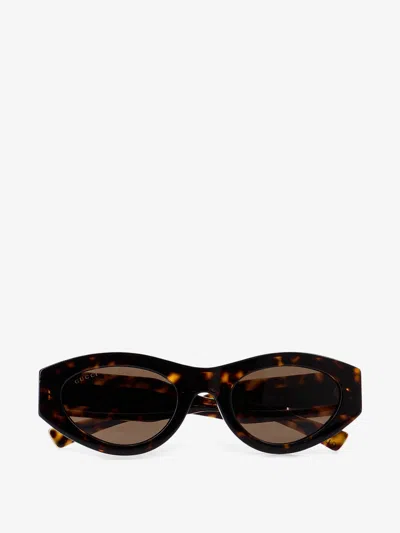 Gucci Acetate Sunglasses In Brown