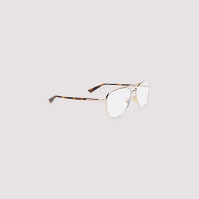 Gucci Acetate Sunglasses In White