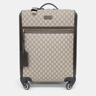 Pre-owned Gucci Beige Pvc Carrier