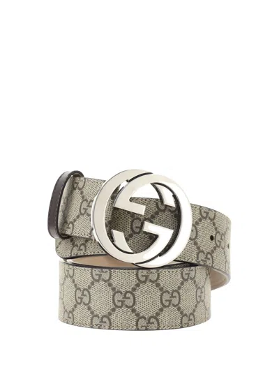Gucci Belt In Beige/cocoa