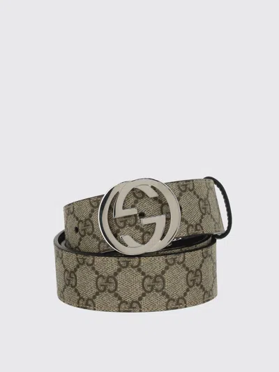Gucci Gg Supreme Belts Beige In Brown
