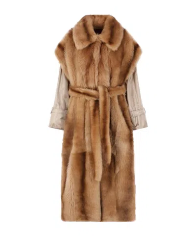 Gucci Belted Trench Coat In Brown