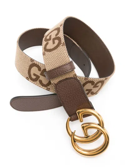 Gucci Belts In Brown