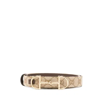 Gucci Belts In Brown