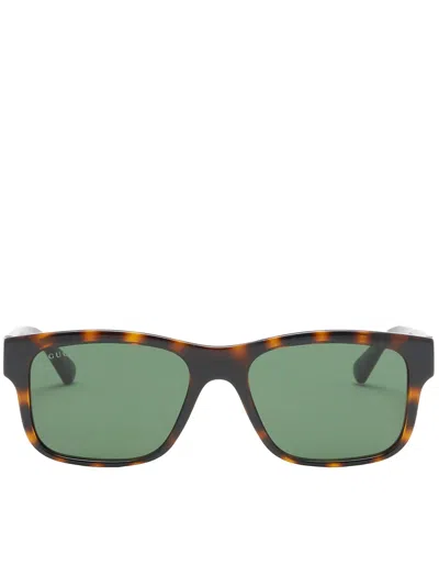 Gucci Brown Acetate Glasses In Green