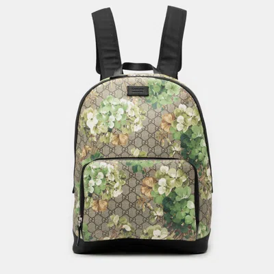Pre-owned Gucci Brown Medium Gg Supreme Blooms Eden Backpack