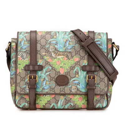 Pre-owned Gucci Brown Multi-color Pvc Leather Messenger Bag Shoulder Bag ()