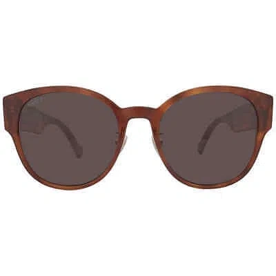 Pre-owned Gucci Brown Oval Ladies Sunglasses Gg1304sk 004 56 Gg1304sk 004 56