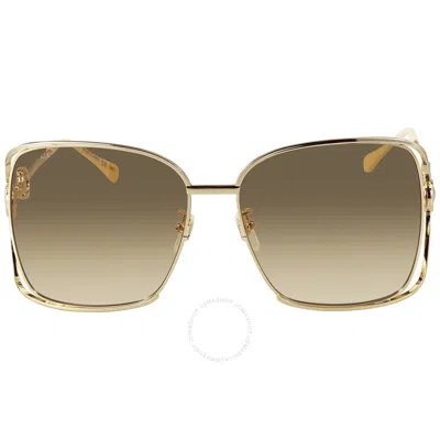 Gucci Brown Square Ladies Sunglasses Gg1020s 004 61