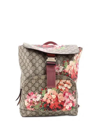 Pre-owned Gucci Buckle Blooms Print Gg Coated Canvas Medium Backpack In Brown