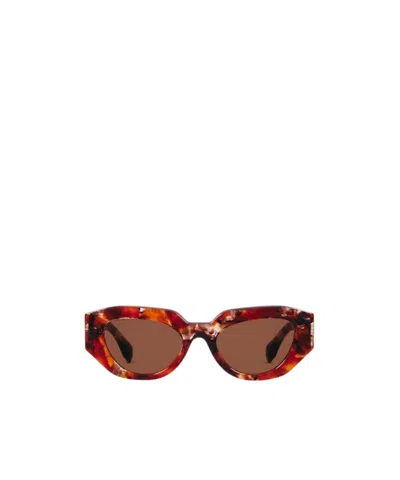 Gucci Cat Eye Frame Sunglasses In Brown
