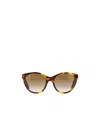 Gucci Cat Eye Frame Sunglasses In Brown