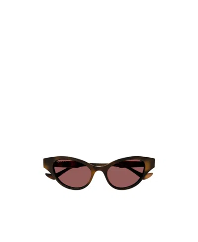 Gucci Cat-eye Frame Sunglasses In Brown
