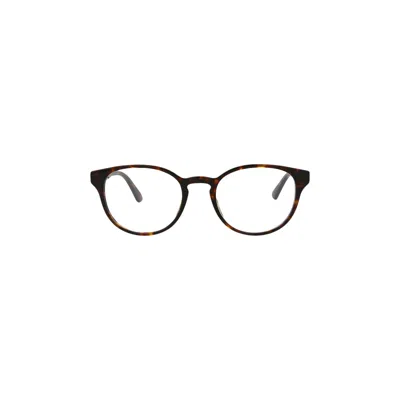 Pre-owned Gucci Cat Eye Frame Sunglasses 'havana'