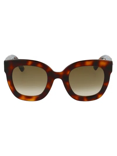 Gucci Cat-eye Sunglasses In 003 Havana Havana Brown
