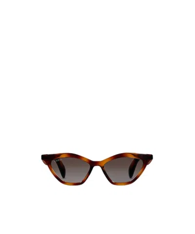 Gucci Cat Eye Sunglasses In Brown