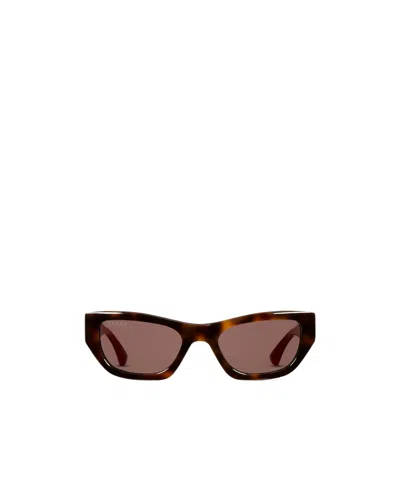 Gucci Cat-eye Sunglasses In Brown