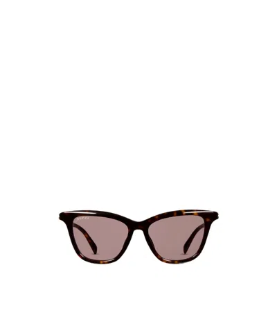 Gucci Cat Eye Sunglasses In Green
