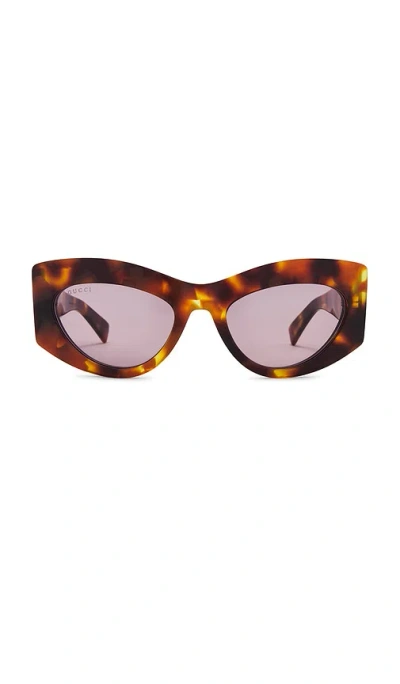 Gucci Cat Eye Sunglasses In Havana & Violet