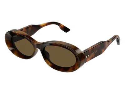 Pre-owned Gucci Cat Eye Sunglasses In Havana Brown (gg1527s/002/fr)