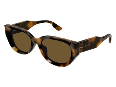 Pre-owned Gucci Cat Eye Sunglasses In Havana Brown (gg1532sa/002/fr)