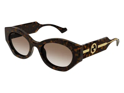 Pre-owned Gucci Cat Eye Sunglasses In Havana Crystal Brown Gradient (gg1553s/002/52)