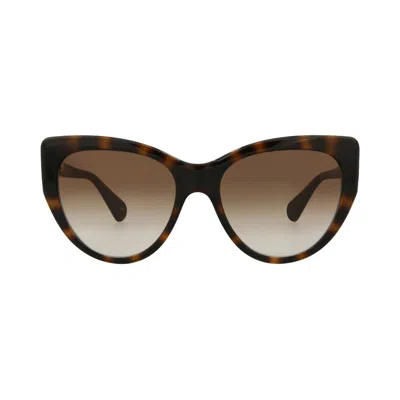 Pre-owned Gucci Cat Eye-frame Injection Sunglasses 'havana Brown' | Women's Size Onesize