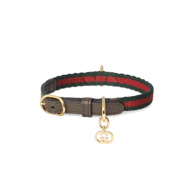 Gucci Extra-small Pet Collar In Brown