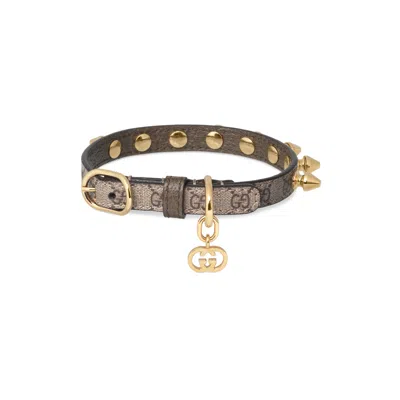 Gucci Extra-small Pet Collar In Brown