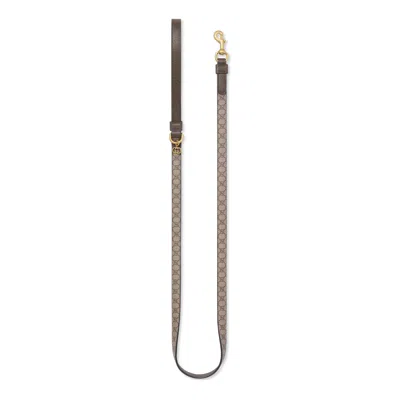 Gucci Extra-small Pet Leash In Beige