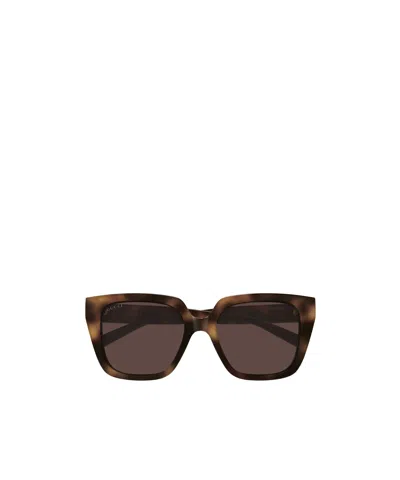 Gucci Eyewear Butterfly Frame Sunglasses In Brown