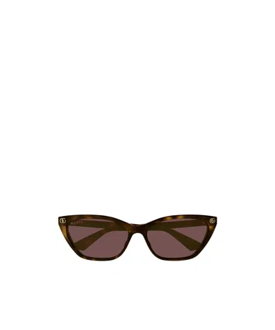 Gucci Eyewear Cat-eye Frame Sunglasses In Brown