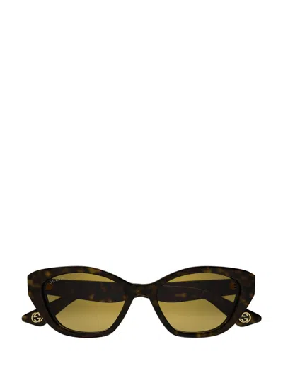 Gucci Eyewear Cat In Multi