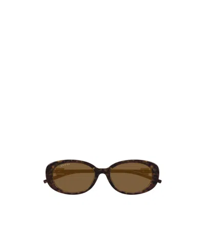 Gucci Eyewear Oval Frame Sunglasses In Brown