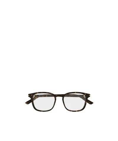 Gucci Gg2129o Linea Institutional Logo 002 Havana Glasses In Brown