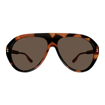 Gucci Eyewear Sunglasses In Brown