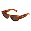 Gucci Gg1834s002 Havana Havana Brown In Brown