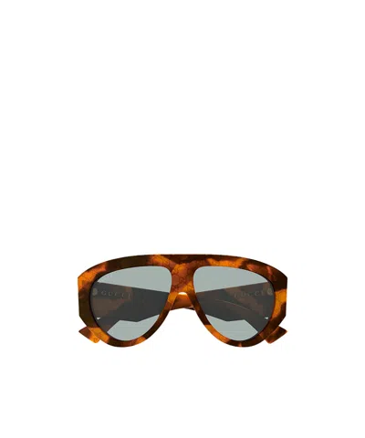 Gucci Eyewear Pilot Frame Sunglasses In Brown