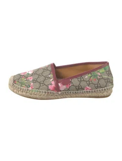 Pre-owned Gucci Flora Print Canvas Espadrilles In Neutrals