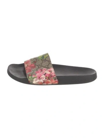 Pre-owned Gucci Flora Print Slides In Neutrals