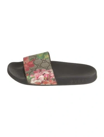 Pre-owned Gucci Flora Print Slides In Neutrals