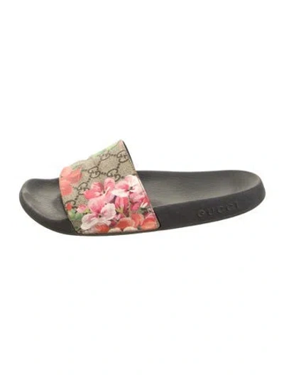Pre-owned Gucci Floral Print Slides In Neutrals